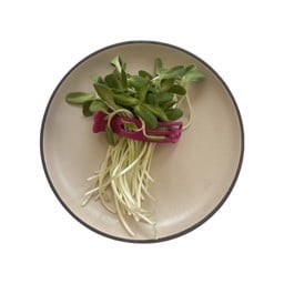 ต้นอ่อนทานตะวัน