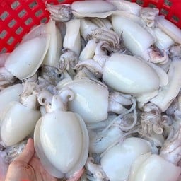 ปลาหมึกกระดองสด1กิโล