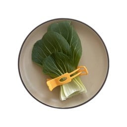 กวางตุ้งฮ่องเต้