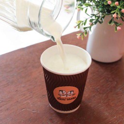 นมสดน้ำผึ้งร้อน