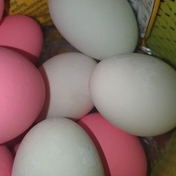ไข่เค็ม(ฟองละ)