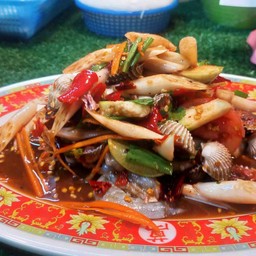 ตพไหลบัวหอยแครงปูม้า