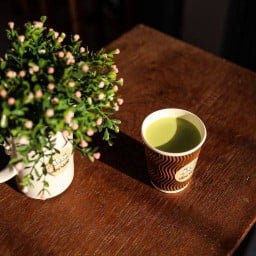 นมสดชาเขียวร้อน