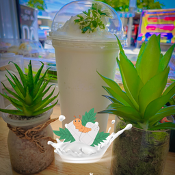 นมสดมิ้นท์