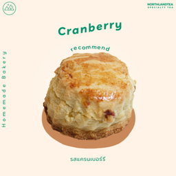 Scone Cranberry