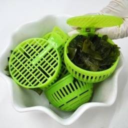 สาหร่ายวากาเมะ