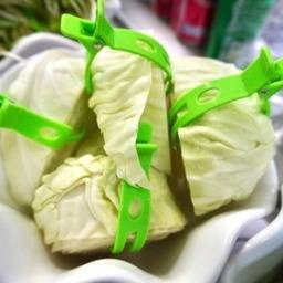 กะหล่ำปลี