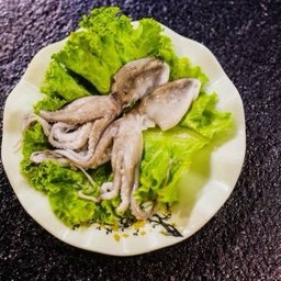 หมึกสาย 1 ตัว