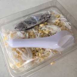 ขนมถั่วแปบ