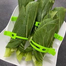 ผักกวางตุ้งฮ่องเต้