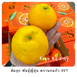 ส้มจุก พันธุ์ญี่ปุ่น ตรานกแก้ว HFT