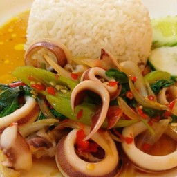 กระเพราปลาหมึกราดข้าว