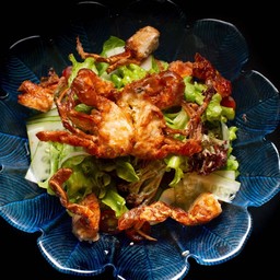 สลัดปูนิ่ม