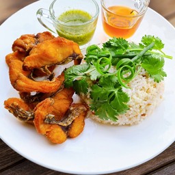 ข้าวปลาปลา มาแล้วจ๋าาา