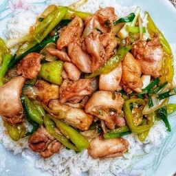 ผัดพริกหยวก หมู/ไก่/กุ้ง/ปลาหมึก