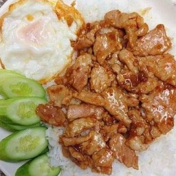 ทอดกระเทียมราดข้าว หมู/ไก่/กุ้ง/ปลาหมึก