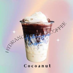 CocoaNut - โกโก้มะพร้าว