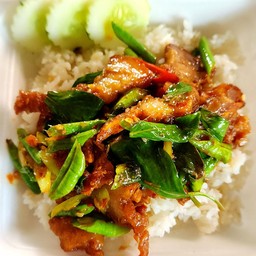 ผัดพริกแกงหมูกรอบราดข้าว