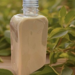 Oolong Tea ( ชาอู่หลง ) บรรจุขวด ขนาด 250 ml