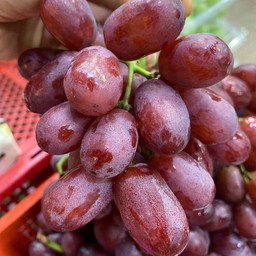 องุ่นปั่น