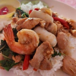[อร่อยซ่ากับโค้ก] กะเพราราดข้าว(เลือกเนื้อด้วยนะคะ+โค๊ก ออริจินัล ขนาด500 มล