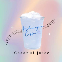 Fresh Coconut Juice - น้ำมะพร้าวน้ำหอมสด (14Oz)