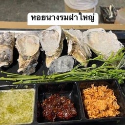 หอยนางรมฝา