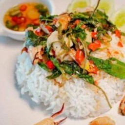 ข้าวกระเพราปู