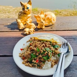 ผัดกะเพราะหมูสับ