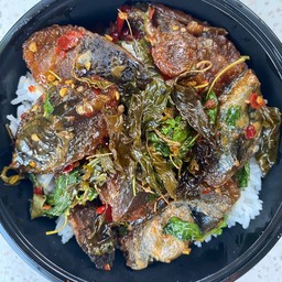 กะเพราไข่เยี่ยวม้าพริกแห้งราดข้าว