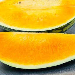 แตงโมเหลือง (Yellow Watermelon)