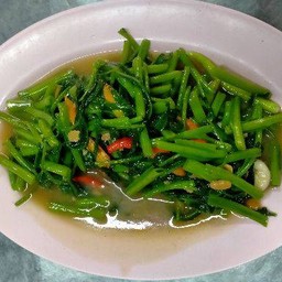 ผักบุ้งไฟแดง