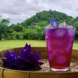 อัญชันมะนาว