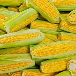 ข้าวโพดหวาน