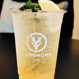 ซัมเมอร์ฮันนี่เลม่อน