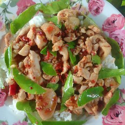 ข้าวราดไก่ผัดใบมะกูด