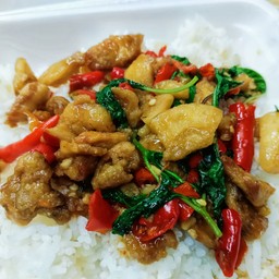 กะเพรากากหมูราดข้าว