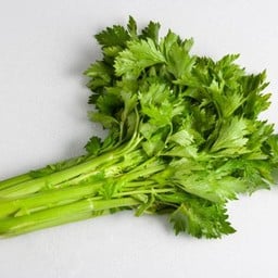 คื่นช่าย