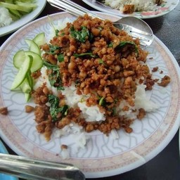 ข้าวกะเพราหมูสับ