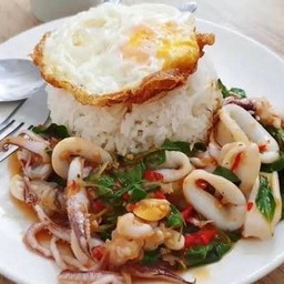 ข้าวกระเพราปลาหมึก+ไข่ดาว