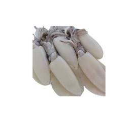 ปลาหมึกกล้วยตัว XL