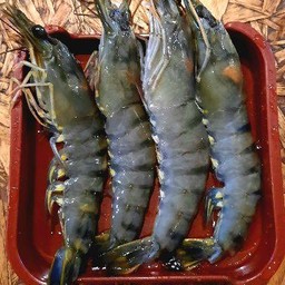 กุ้งทะเล 2ตัว (ใหญ่)
