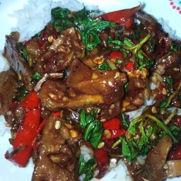 กระเพราหมูตุ๋น