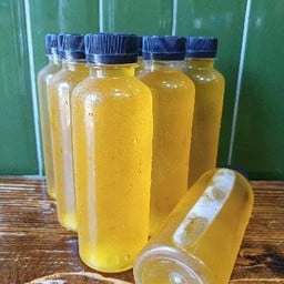 เก๊กฮวย