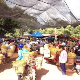 ตลาดหัวดง