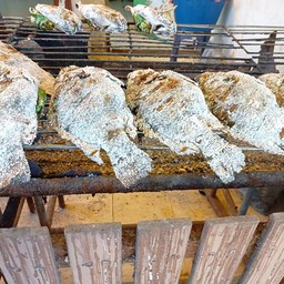 ปลาเผาไซส์  XL