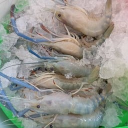 ต.กุ้งเผาสาย2 & ตำยโส