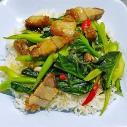 ข้าวราดคะน้าหมูกรอบ