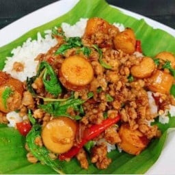 ผัดกะเพรา หมูสับ+ฮอดดอก  (ราดข้าว)