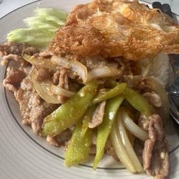 ข้าว ผัดพริกสด เนื้อ หมู (สับ/ชิ้น)